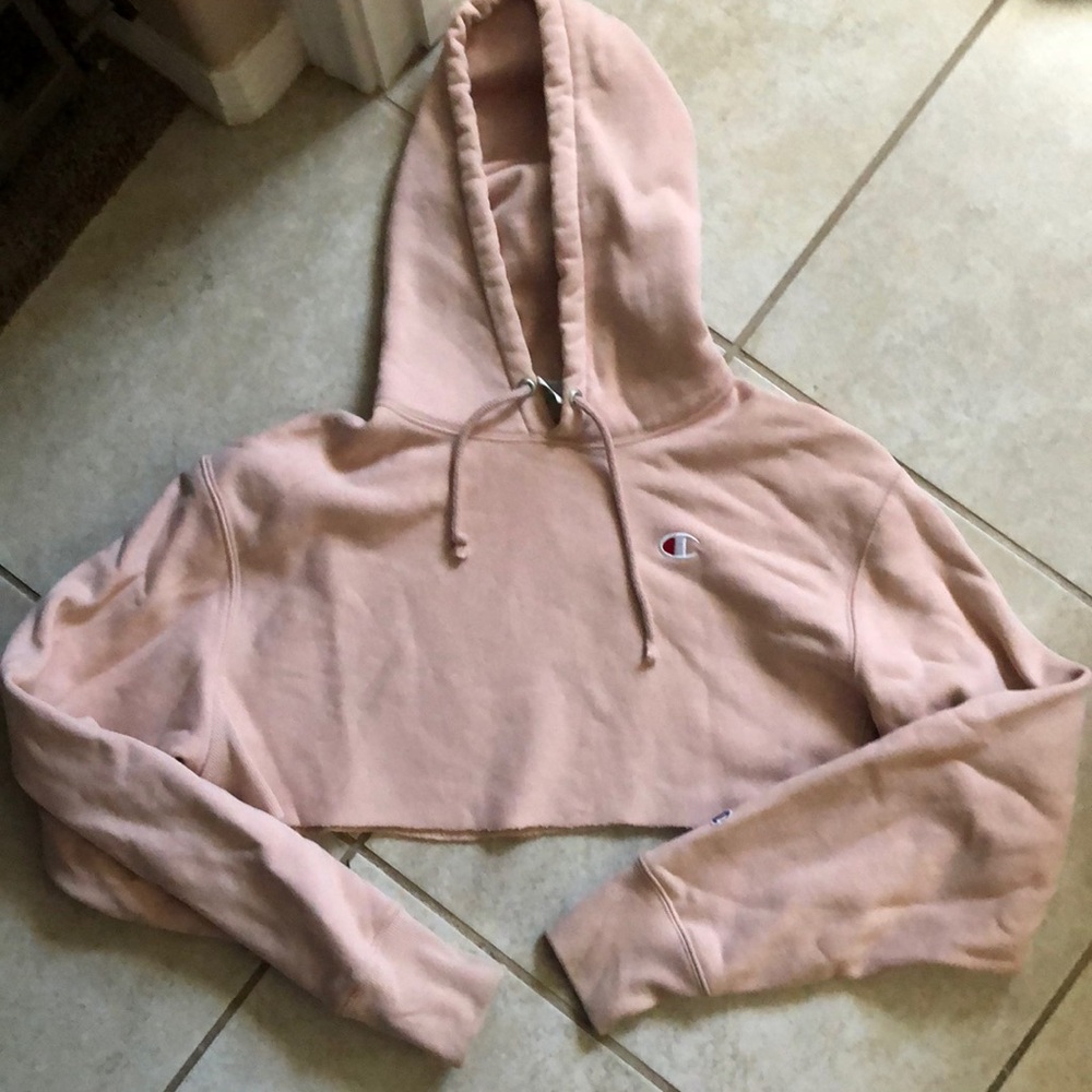 S Champion Reverse Weave Cropped Hoodie Blush
